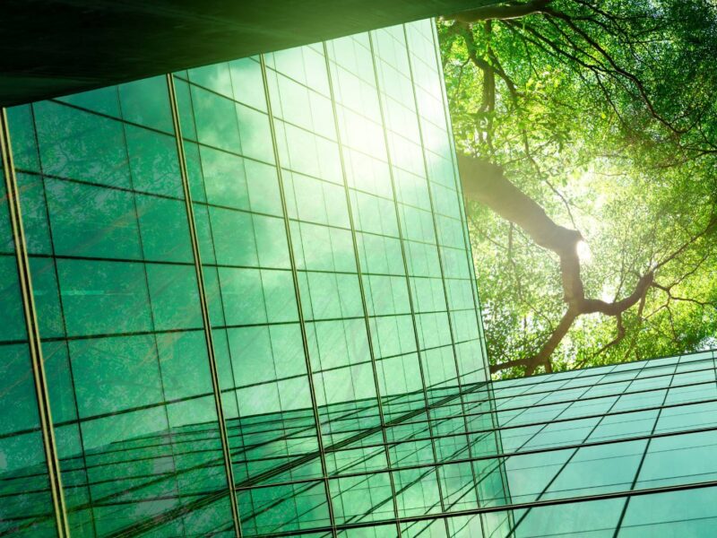 HEL_Company Greener Feature