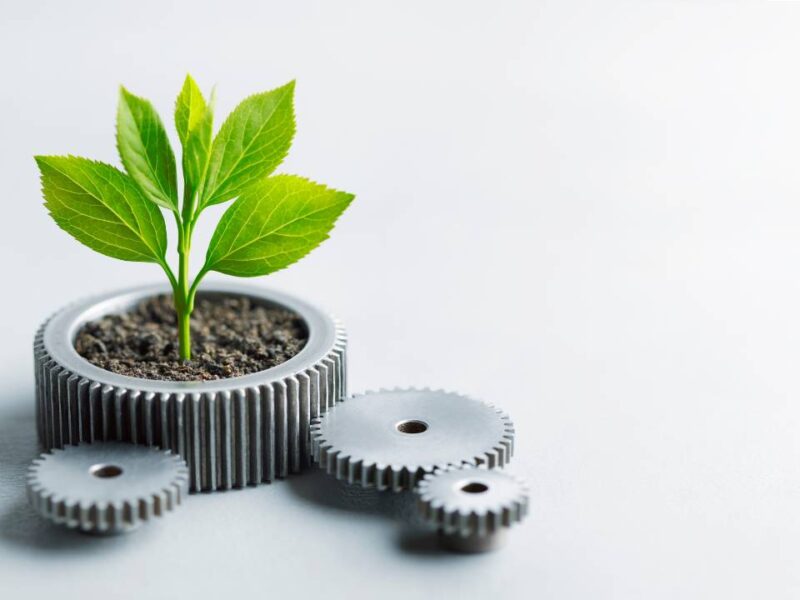 Our Guide to Low Cost Sustainability